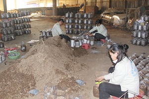 Hỗ trợ, khuyến khích phát triển  kinh tế tập thể, hợp tác xã