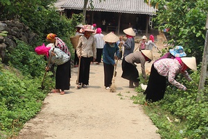 Toàn tỉnh:  Nhân dân đóng góp gần 59 tỷ đồng  làm đường giao thông nông thôn