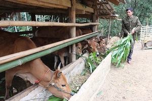 Chỗ dựa tin cậy cho nông dân