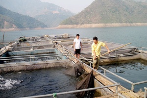 Tạo điều kiện cho các hợp tác xã thủy sản phát triển