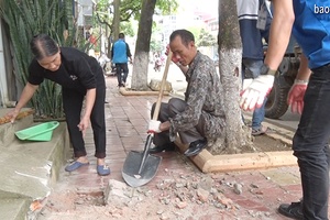 Thành phố: Triển khai kiểm tra, xử lý vi phạm lấn chiếm lòng đường, vỉa hè, lập lại trật tự đô thị trên địa bàn