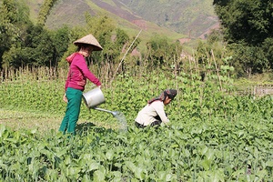 Nông dân Nà Nghịu thi đua sản xuất kinh doanh giỏi