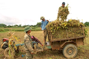 Mai Sơn triển khai nhiều mô hình  kinh tế tại các điểm TĐC