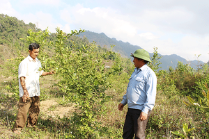 Phát huy hiệu quả nguồn vốn Quỹ hỗ trợ nông dân