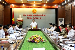 Họp tư vấn nội dung trình Phiên họp thường kỳ thứ 11, UBND tỉnh khóa XIV