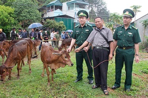 Bộ Chỉ huy BĐBP tỉnh: Trao bò giống cho hộ nghèo biên giới