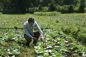 Đưa nông sản “vươn” ra thị trường trong và ngoài nước