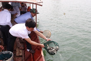 Thả gần 1.300 kg cá giống tái tạo nguồn lợi thủy sản trên hồ thủy điện Sơn La