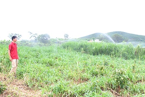 Đẩy mạnh phát triển nông nghiệp ứng dụng công nghệ cao trong sản xuất: Các cơ chế, chính sách của tỉnh Sơn La về phát triển nông nghiệp ứng dụng công nghệ cao vào sản xuất trên địa bàn