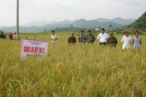 Đẩy mạnh phát triển nông nghiệp ứng dụng công nghệ cao trong sản xuất: Xu hướng phát triển ứng dụng nông nghiệp công nghệ cao