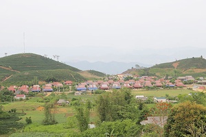 Viên ngọc quý ở Tân Lập