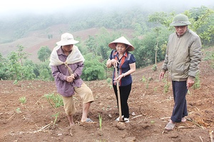 Đổi thay trên những bản  vùng cao ở Mai Sơn
