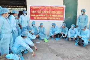 Giúp nông dân sản xuất theo tiêu chuẩn VietGAP