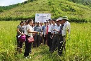 Khoa học và công nghệ đồng hành với mục tiêu phát triển kinh tế, xã hội của tỉnh