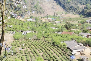 “Thủ lĩnh” trên vùng cao biên giới