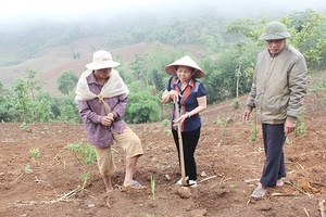 Đổi thay trên những bản vùng cao ở Mai Sơn