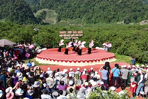 Ngày hội hái quả mận hậu Mộc Châu lần thứ IV năm 2017