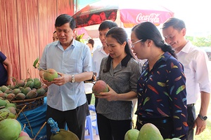 Huyện Yên Châu:  Khai mạc "Ngày hội xoài Yên Châu, năm 2017"