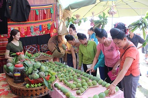 Sôi động Ngày hội xoài Yên Châu   
