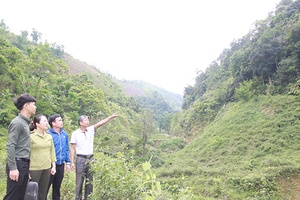 Chuyện về những nữ kiểm lâm địa bàn