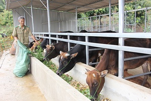 Phong trào “Cựu chiến binh gương mẫu” ở Sông Mã