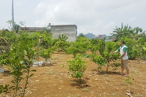 Phiêng Luông đoàn kết xây dựng đời sống văn hóa