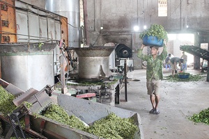 Khuyến công cho người dân vùng tái định cư 