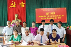 Liên minh HTX tỉnh: Ký kết chương trình phối hợp về kinh tế tập thể, hợp tác xã giai đoạn 2017-2022