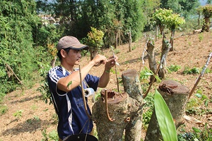 Mường Chanh phấn đấu đạt chuẩn nông thôn mới trong năm 2017