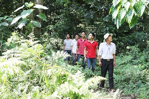 Chuyện giữ rừng ở bản Nôn