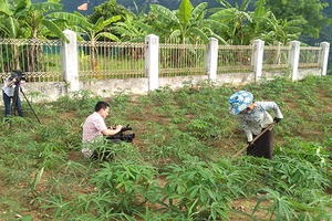 Chuyện những “nhà báo huyện”   