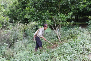 Hướng mở cho Chiềng Yên no ấm   