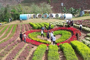 Tăng cường quảng bá du lịch Sơn La đến với du khách