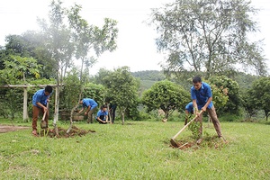 Tri thức trẻ tình nguyện nơi biên giới