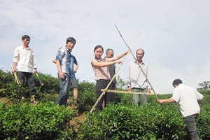 Định hướng sản xuất nông nghiệp thân thiện với môi trường