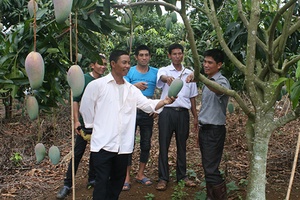 Đẩy mạnh phát triển nông nghiệp ứng dụng công nghệ cao   