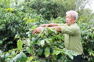 Thương binh “tàn nhưng không phế”