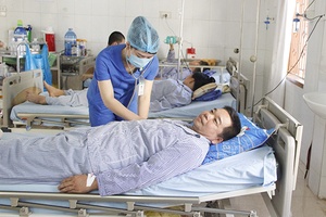 Thành phố Sơn La: 13 người ngộ độc do ăn nấm lạ
