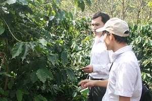 Chủ động phòng, trừ sâu bệnh bảo vệ cây trồng