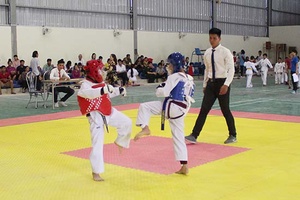 Thành phố: Giải Taekwondo các lứa tuổi năm 2017