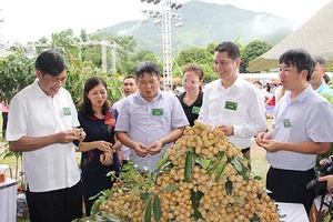 Ngày hội nhãn Sông Mã năm 2017