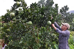 Địa chỉ tin cậy của người nông dân