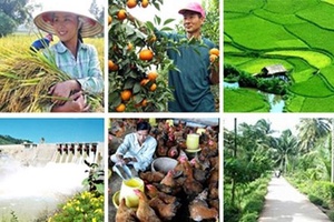 Gỡ vướng triển khai các dự án ngành nông nghiệp