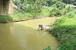 Nâng cao vai trò quản lý nhà nước lĩnh vực tài nguyên, môi trường 