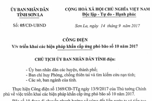 CÔNG ĐIỆN V/v triển khai các biện pháp khẩn cấp ứng phó bão số 10 năm 2017