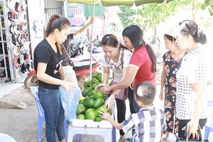 Xây dựng thương hiệu cho sản phẩm bơ Mộc Châu