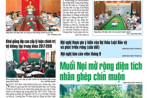 Báo Sơn La, Thứ 4 ngày 20/9/2017