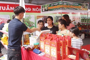 Toàn tỉnh: 43 doanh nghiệp và HTX được cấp chứng nhận VietGAP