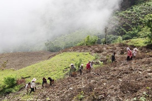 Tạo thêm nguồn lực giúp đồng bào nghèo ổn định sản xuất và đời sống