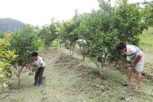 Chuyện ở vùng đất ven sông